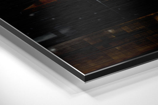 Einstein Brushed Aluminum Dibond Wall Art