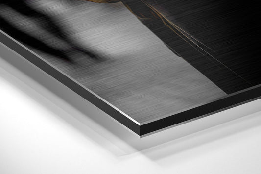 Black Panther Brushed Aluminum Dibond Wall Art