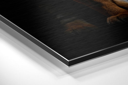 Tiger Brushed Aluminum Dibond Wall Art