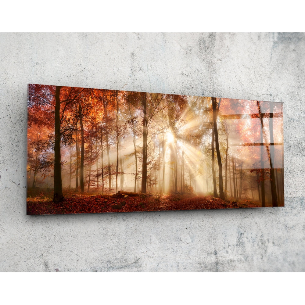 Forest Glass Wall Art (36"x14")