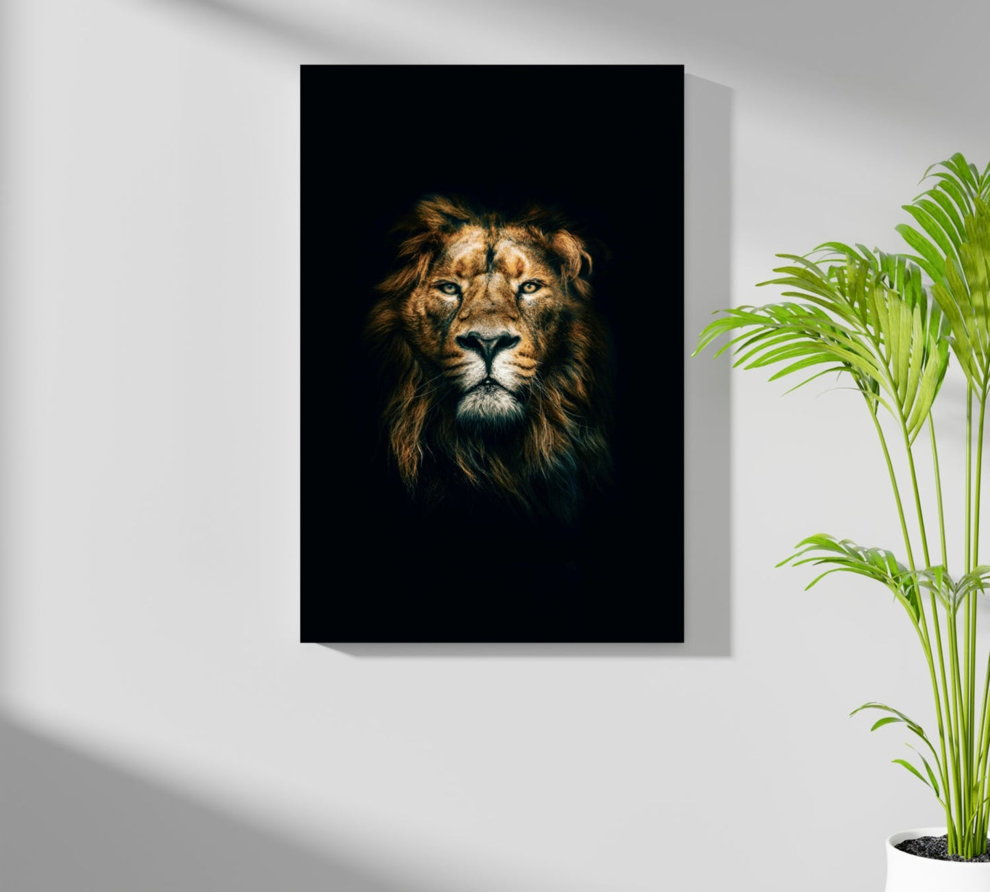 Lion Aluminum Print