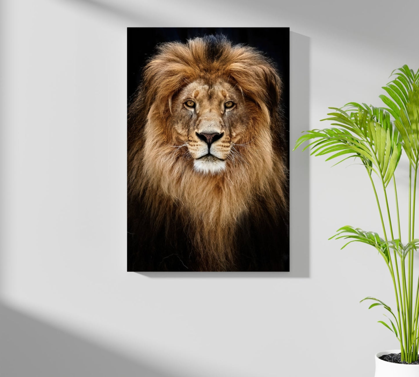 Lion Aluminum Print