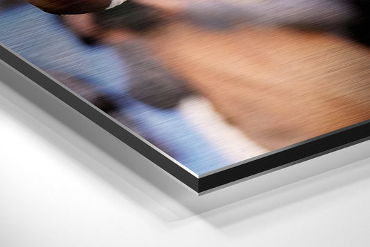 American Football Brushed Aluminum Dibond Wall Art