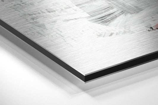 Flamingo Brushed Aluminium Dibond Wall Art