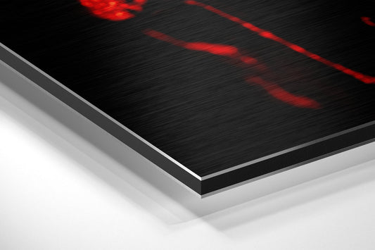 Skull Brushed Aluminium Dibond Wall Art