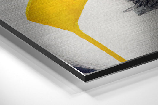 Sssh Brushed Aluminium Dibond Wall Art