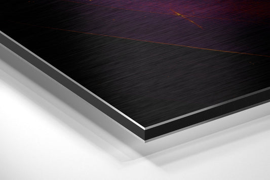 Leaf Brushed Aluminium Dibond Wall Art