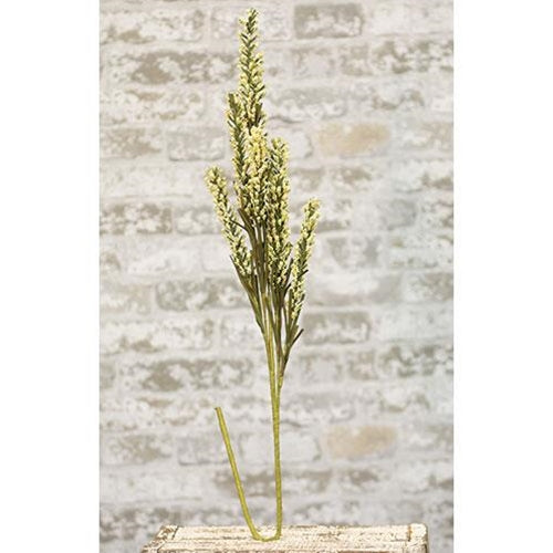Giant Millet Spray Cream (Pack of 4)