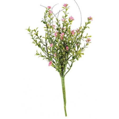 Bayberry Bush 16" (Pack of 4)