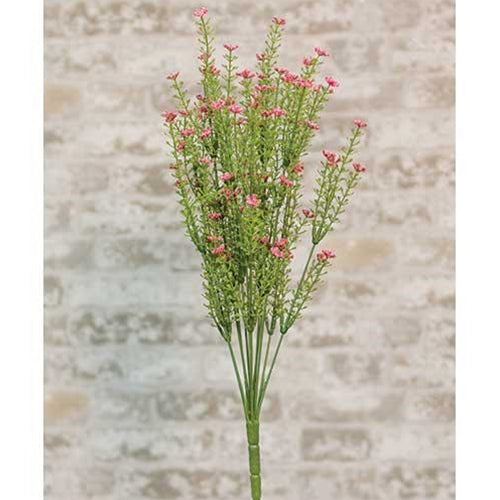 Pink Astilbe Bush 20" (Pack of 4)