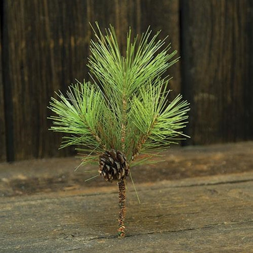 Tahoe Needle Pine Pick (Pack of 4)