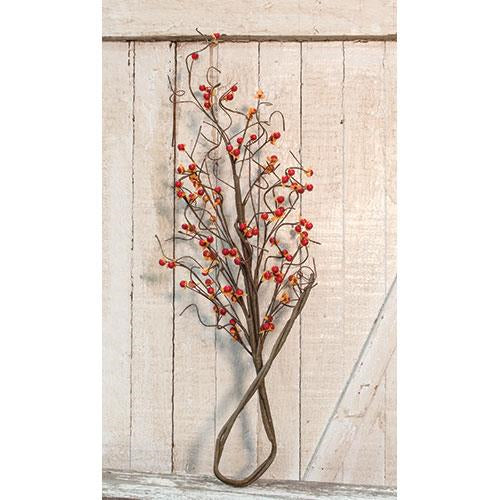 Country Bittersweet Branch (Pack of 4)
