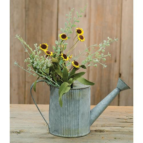 Bird's Eye Daisy Bush Yellow 18" (Pack of 4)