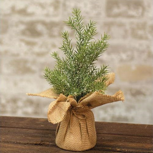 Mini Snowy Rosemary Pine Tree 11" (Pack of 4)