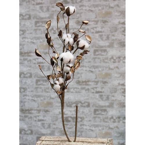 Cotton Branch w/Shells 30" (Pack of 4)
