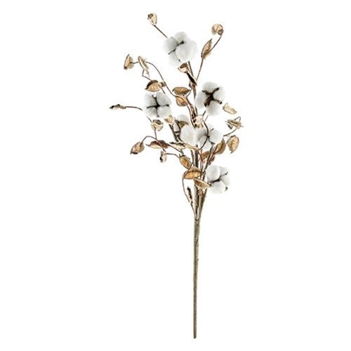 Cotton Spray w/Shells 24" (Pack of 4)