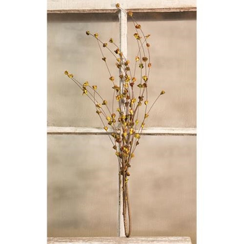 Willow Sprouts Spray (Pack of 4)
