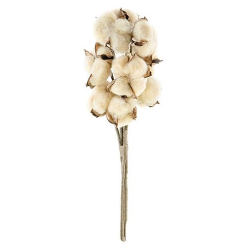 Teastain Cotton Bush (Pack of 4)