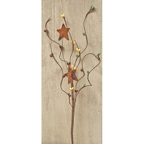 Coffee Bean Pip & Star Pick 12" (Pack of 4)