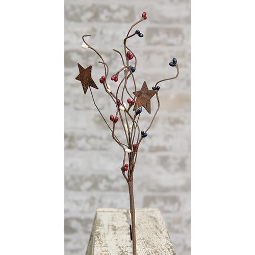 Country Mix Pip & Star Pick 12" (Pack of 4)