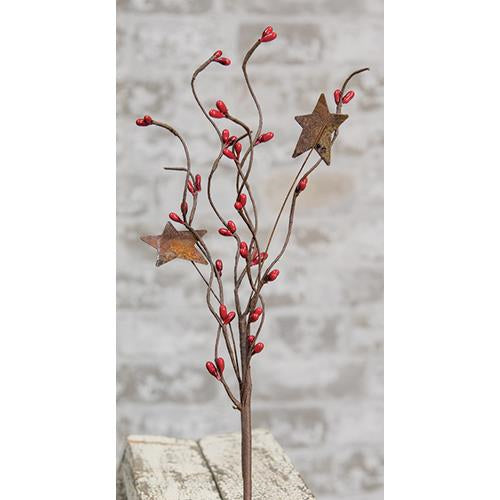 Red Pip & Star Pick 12" (Pack of 4)