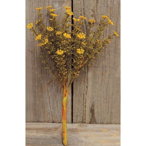 Mustard Fall Astilbe Bush 10.5" (Pack of 4)
