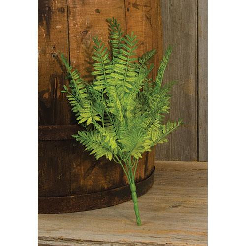Wood Fern Bush 14" (Pack of 4)