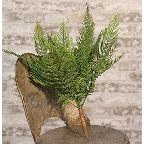 Deer Fern Bush 16" (Pack of 4)