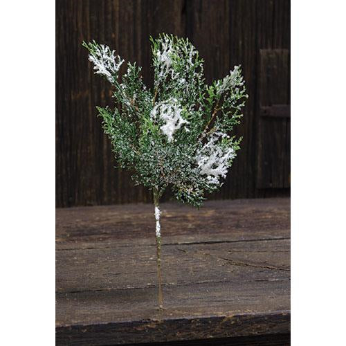 Snowy Cedar Spray 13" (Pack of 4)