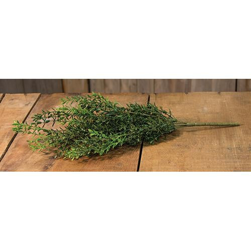 New England Boxwood Bush 19" (Pack of 4)