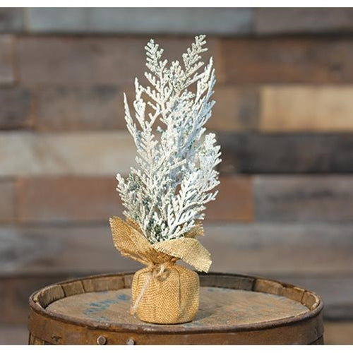 Frosty Cedar Tree 10" (Pack of 4)