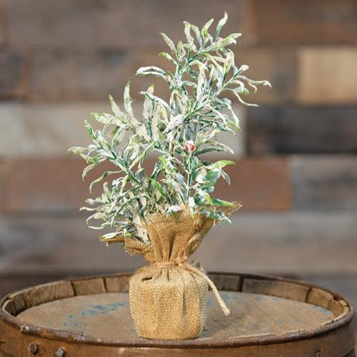Frosty Herb Tree 10" (Pack of 4)