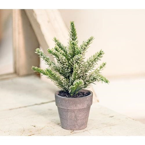 Potted Icy Pine 7" (Pack of 4)