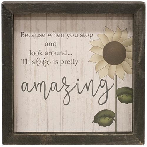 Life Is Amazing Framed Sign (Pack of 4)