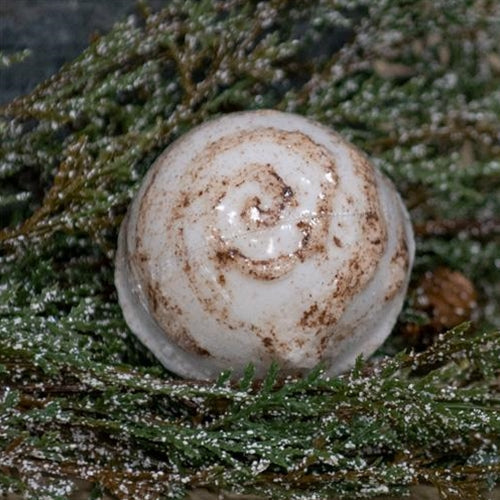 Amish Cinnabun Bath Bomb (Pack of 4)
