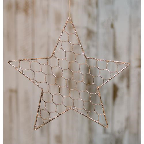 Wire Star Ornament 10" (Pack of 4)