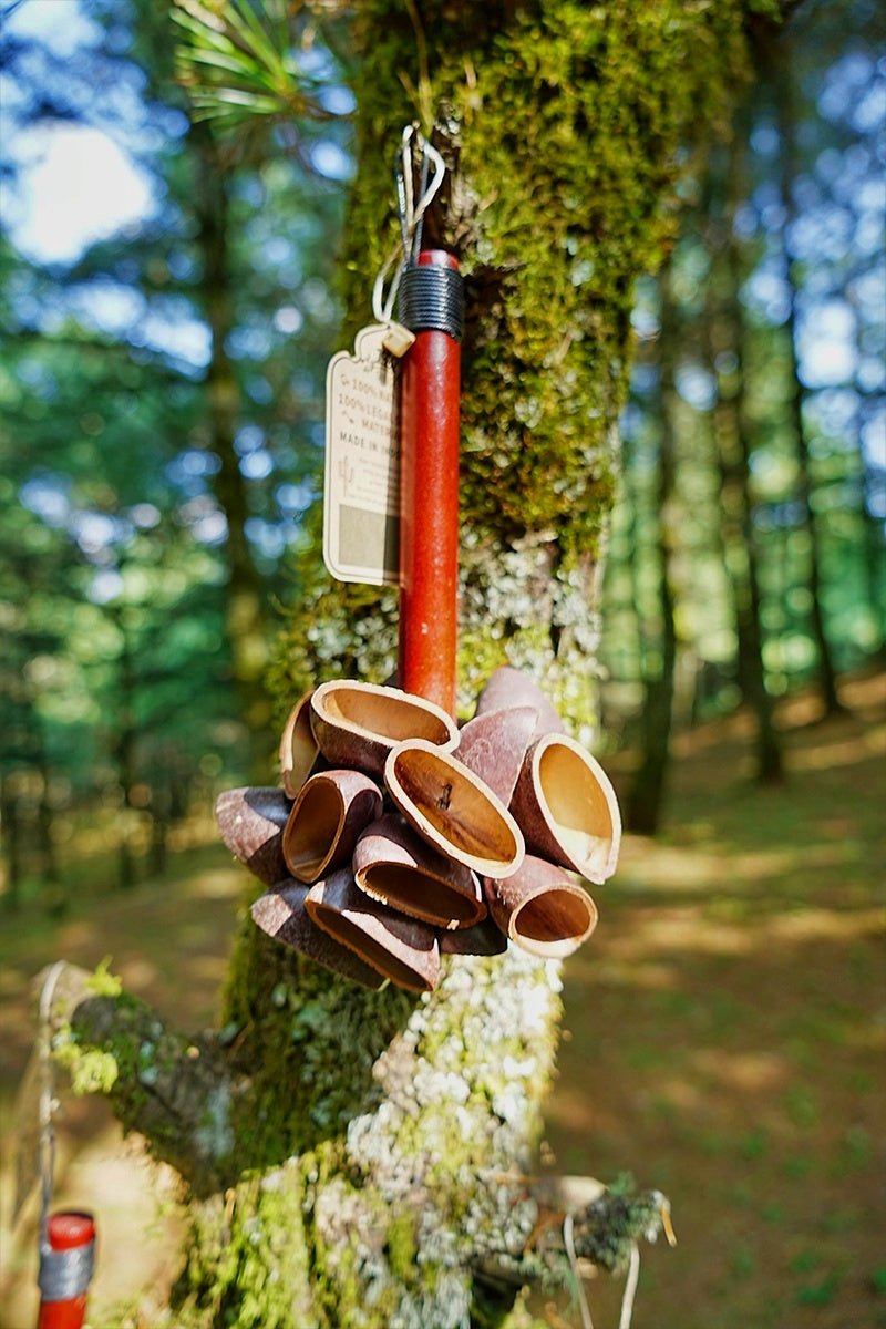 Juju Seed Pod Wooden Handle Shaker