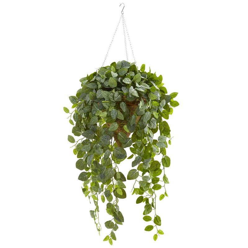 Fittonia Artificial Plant in Hanging Cone Basket (Real Touch)
