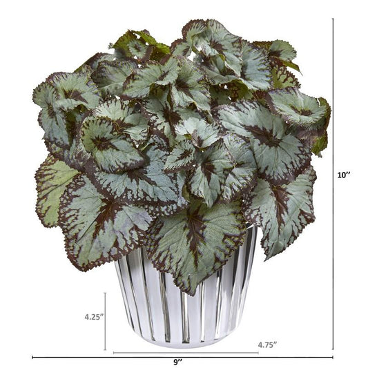 10" Begonia Artificial Plant in White and Silver Trimmed Vase (Set of 2)