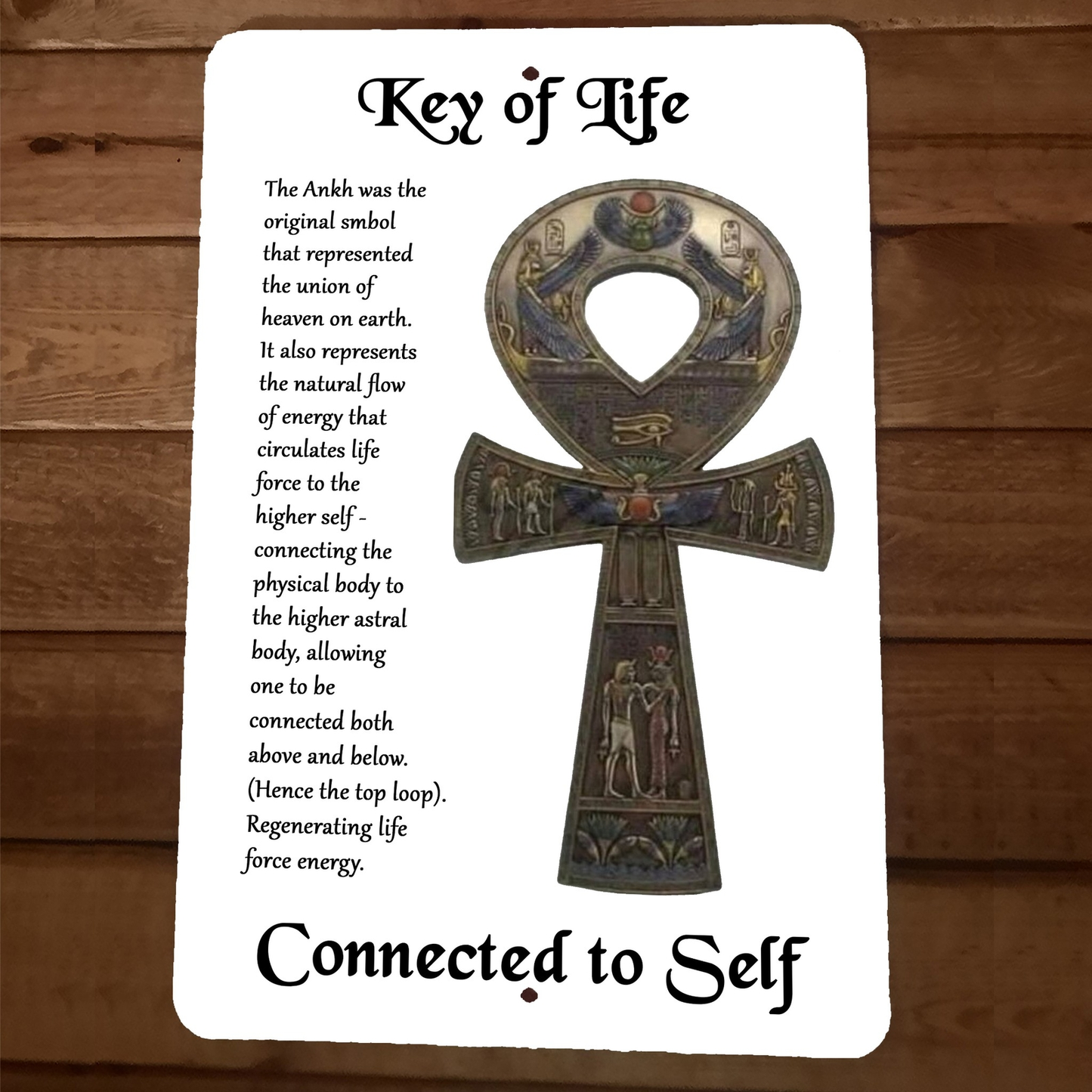 Egyptian Ankh Key of Life Connect to Self 8x12 Metal Wall Sign