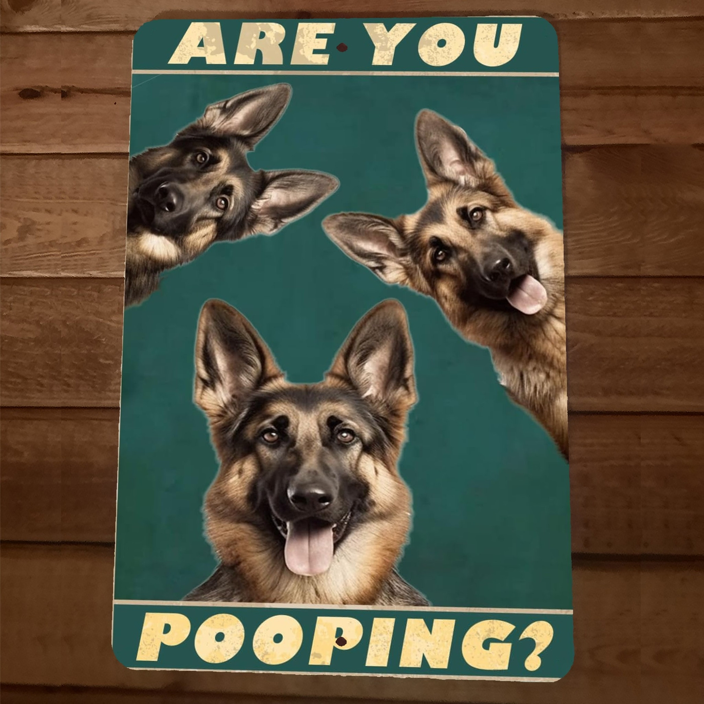 Are You Pooping German Shepherd Dogs 8x12 Funny Bathroom Metal Wall Sign