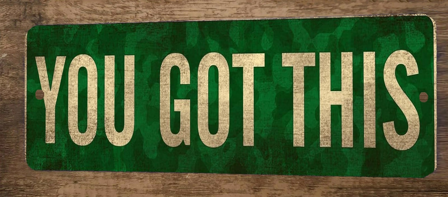 You Got This 4x12 Metal Wall Sign