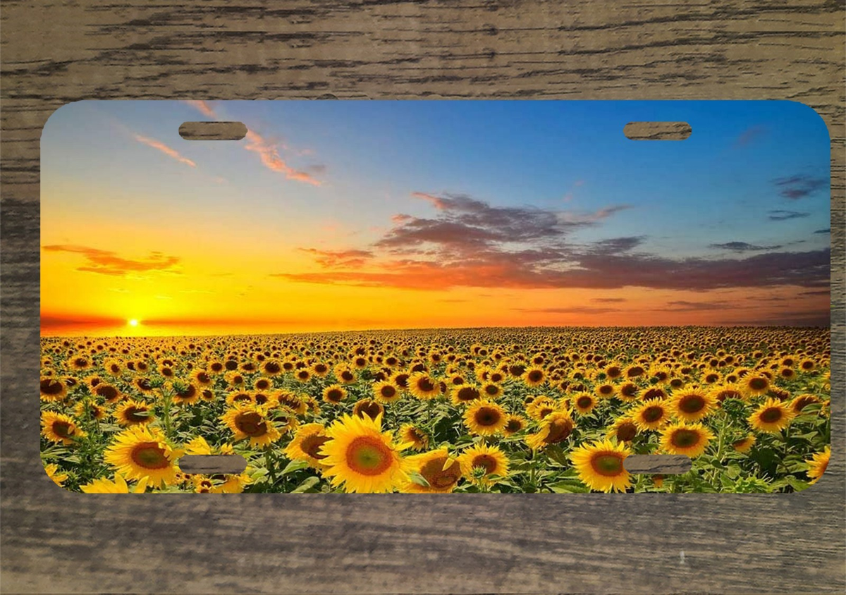 Sunflower Field Art 6x12 Custom Mountable Novelty License Plate