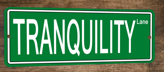 Tranquility Lane 4x12 Metal Wall Sign Banner Poster Green Steet Sign