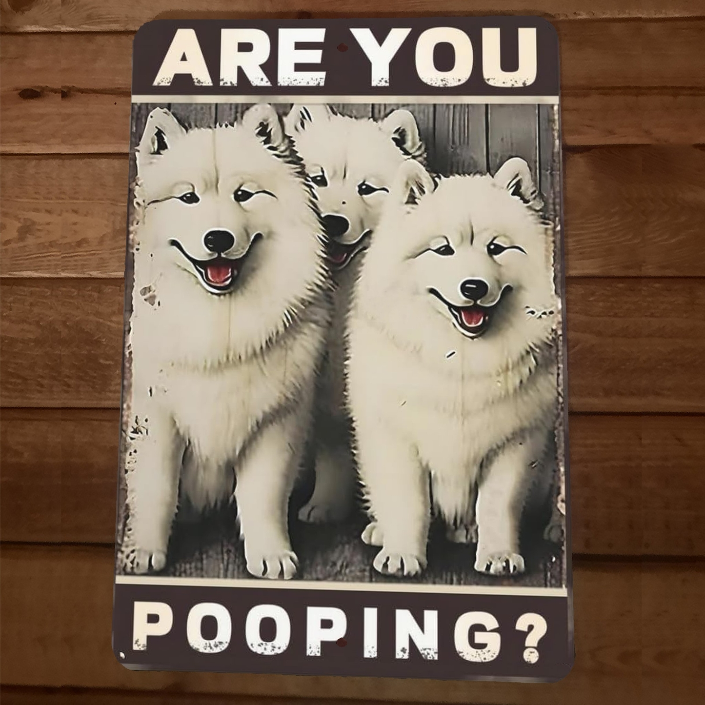 Are You Pooping Samoyed Dogs 8x12 Funny Bathroom Metal Wall Sign