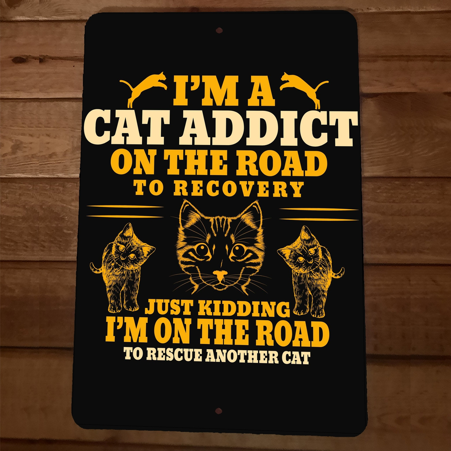Im a Cat Addict on the Road to Recovery 8x12 Metal Wall Sign Animal Poster