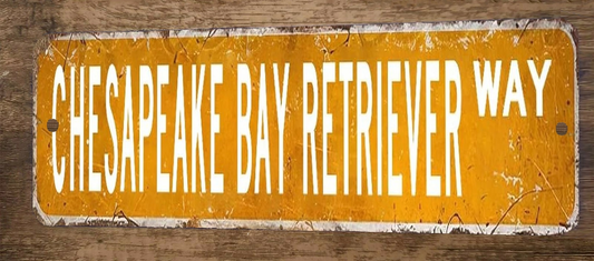 Chesapeake Bay Retriever Way 3x12 Metal Wall Sign