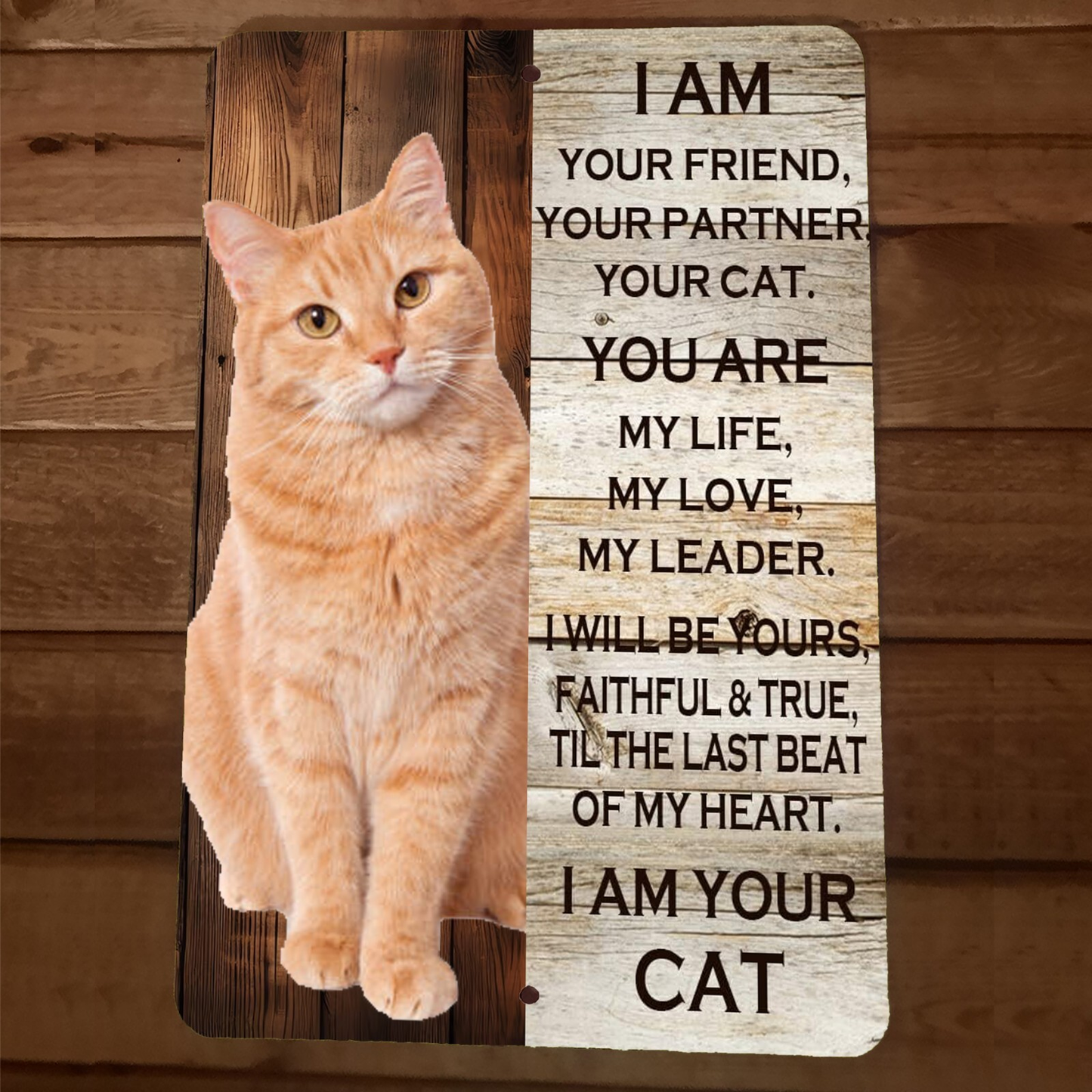 I am Your Orange Tabby Cat 8x12 Metal Wall Sign Animal Poster