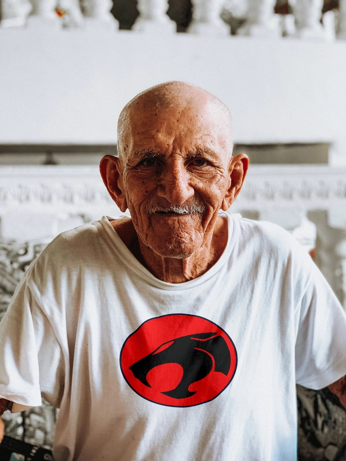 Thundercats Logo Mens T Shirt Gildan