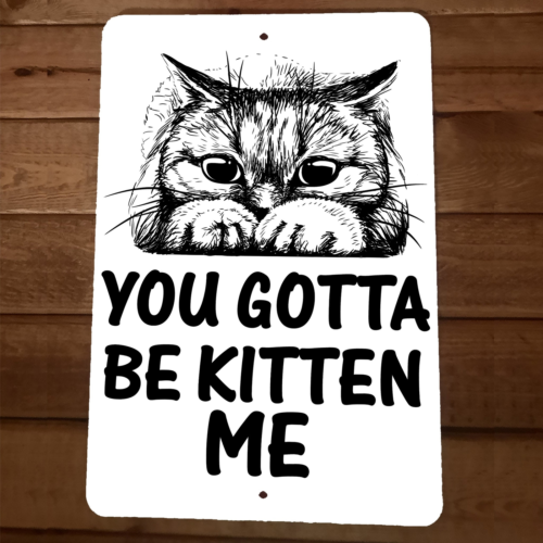 You Gotta Be Kitten Me Cat 8x12 Metal Wall Sign Animal Poster